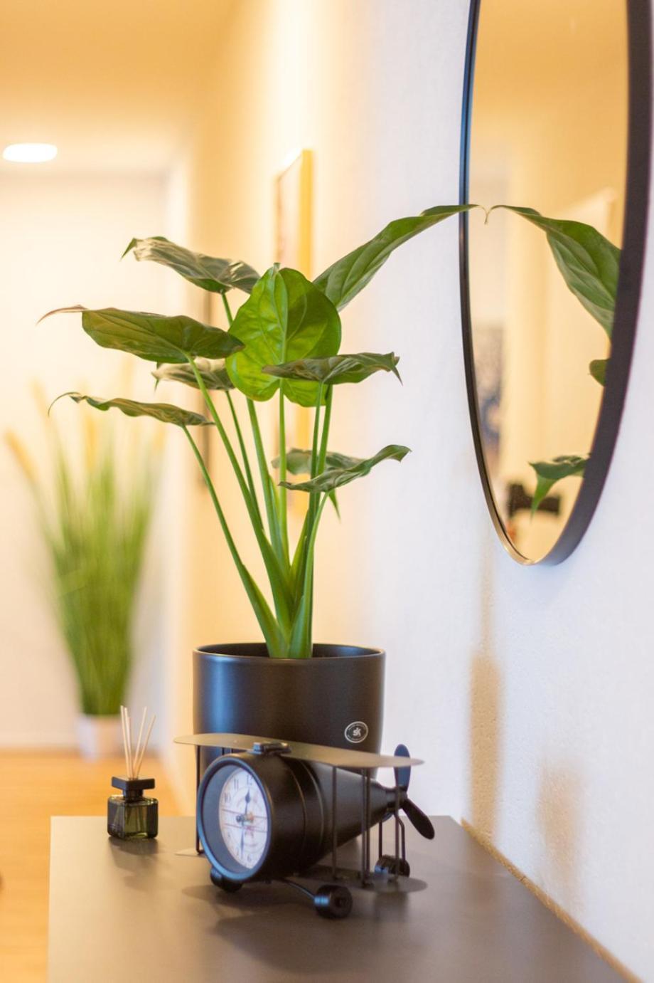 Special Einstein II Apartment Basel, Messe Kleinbasel 10-Star Ngoại thất bức ảnh