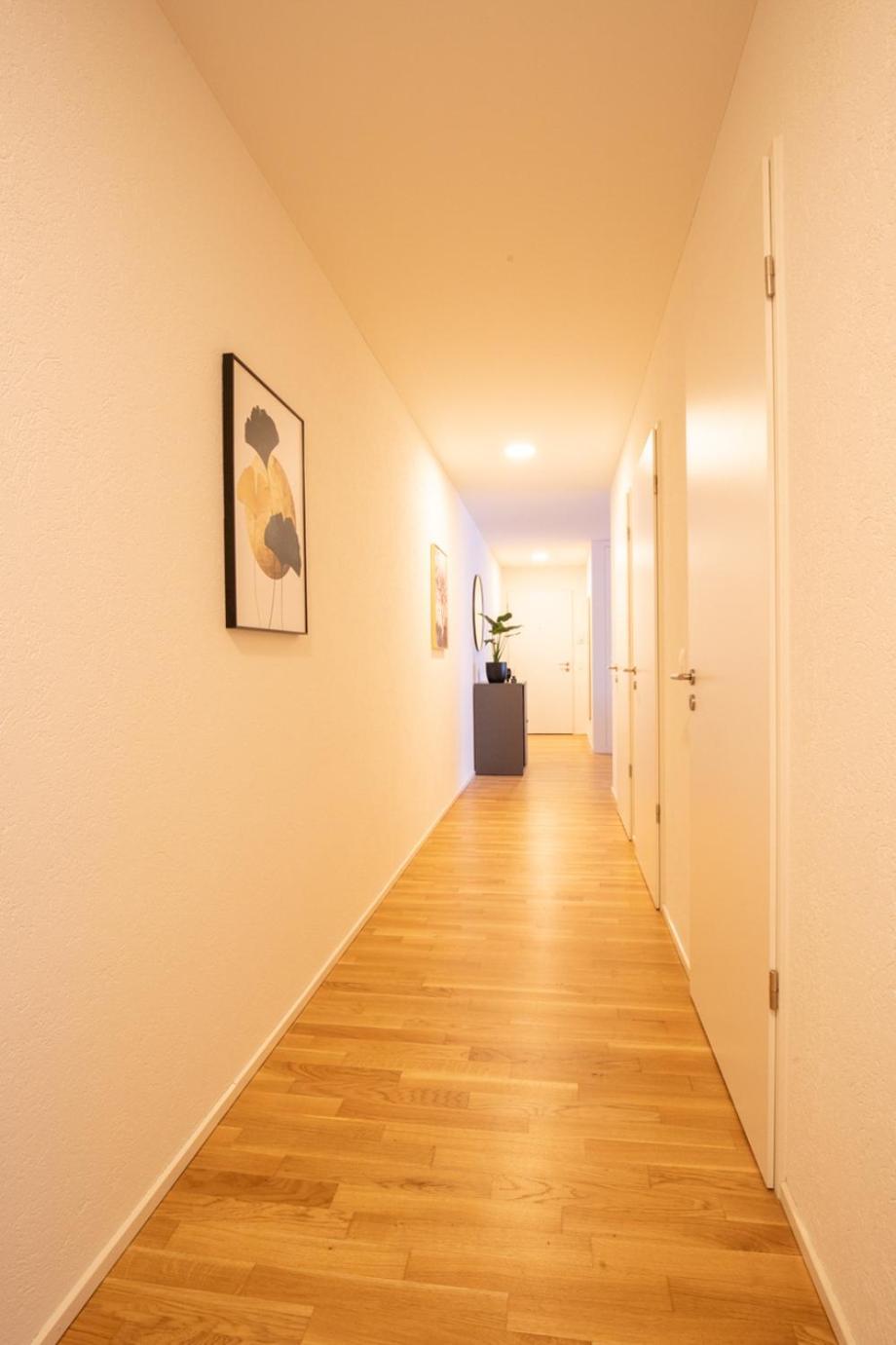 Special Einstein II Apartment Basel, Messe Kleinbasel 10-Star Ngoại thất bức ảnh