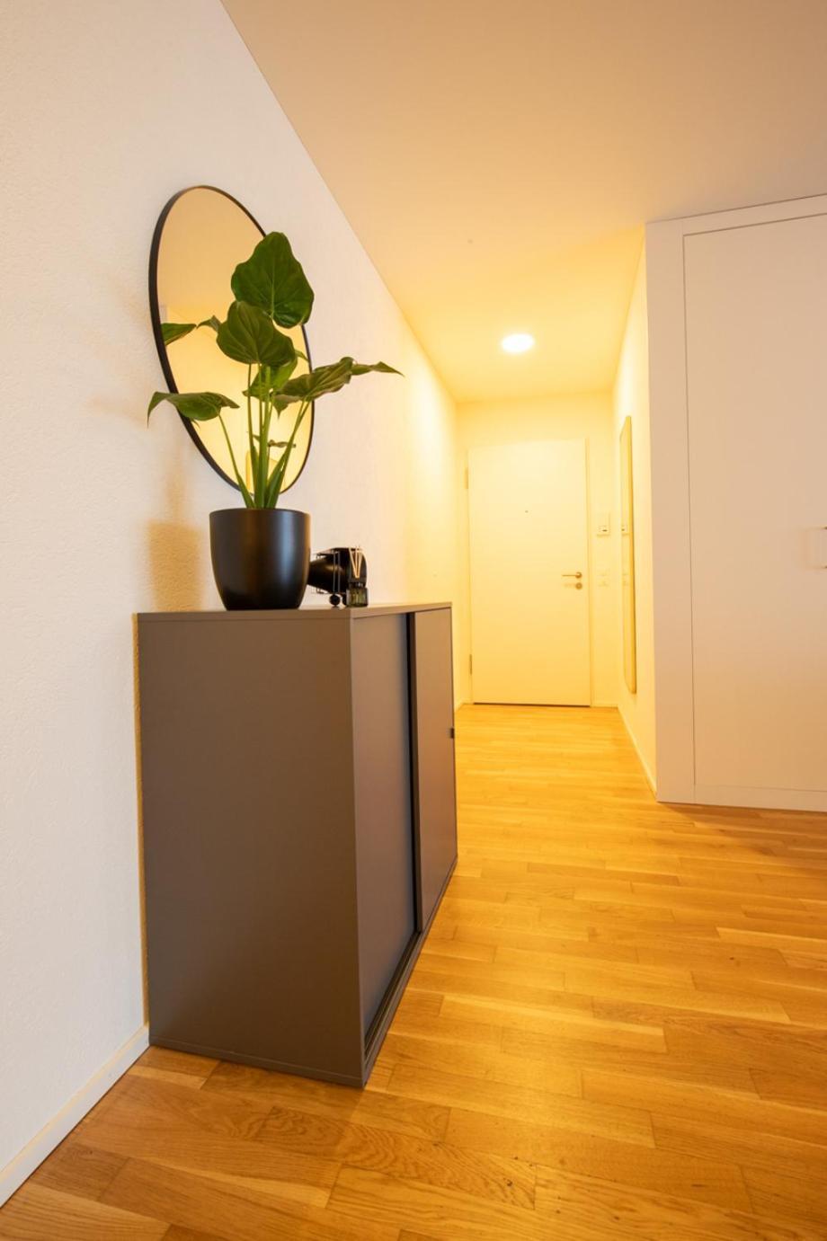 Special Einstein II Apartment Basel, Messe Kleinbasel 10-Star Ngoại thất bức ảnh