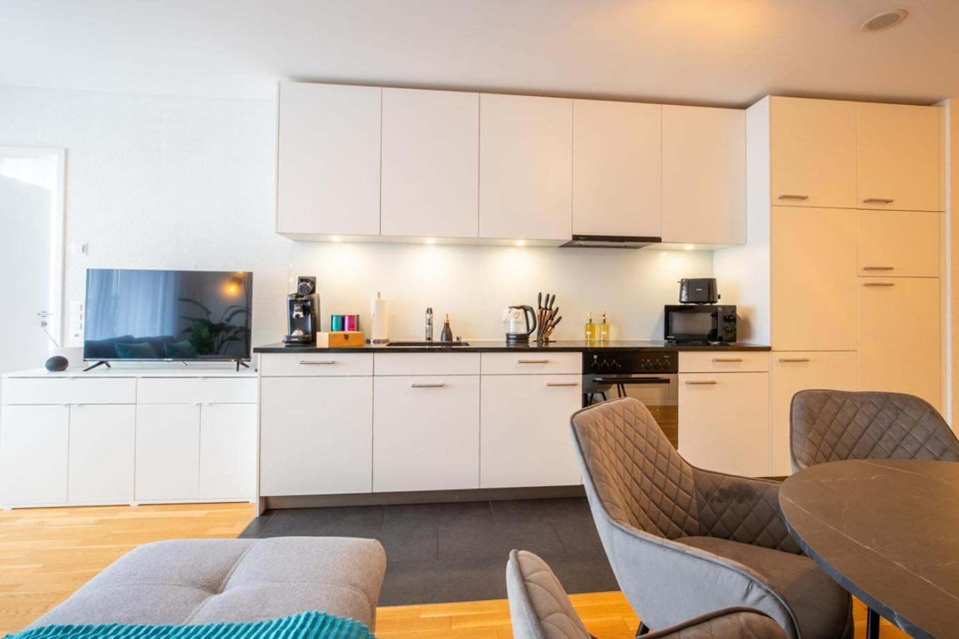 Special Einstein II Apartment Basel, Messe Kleinbasel 10-Star Ngoại thất bức ảnh